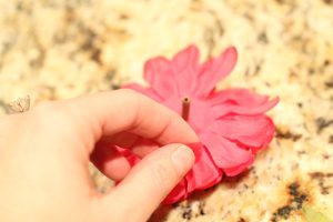 IMG_0008