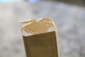 IMG_0050