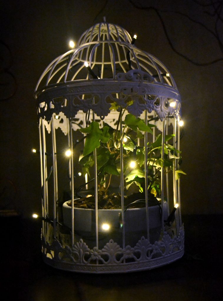Whimsically Ambient Birdcage with Ivy and Lights
