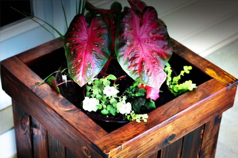 Planter Box from Pallets
